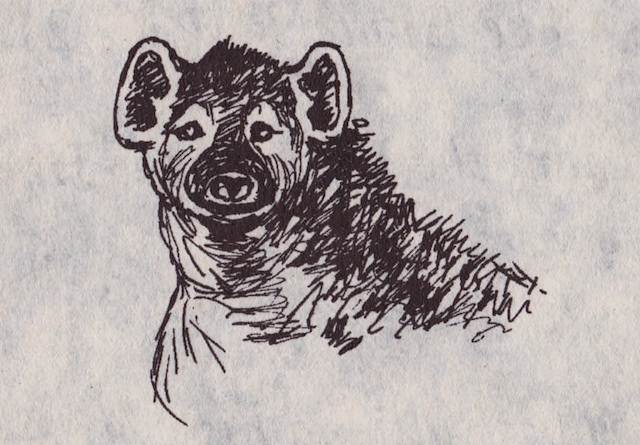 Illustration from “The King of the Forest”