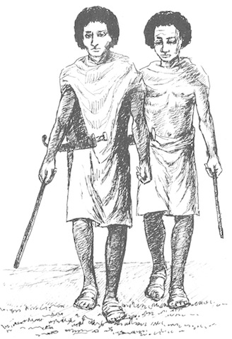 Illustration from “The Good Wife”