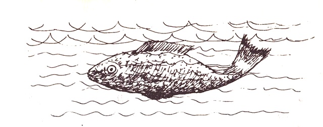 Illustration from “The Man from the River”