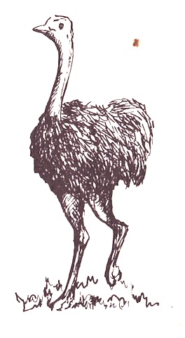 Illustration from “The Landlord and the Ostrich”