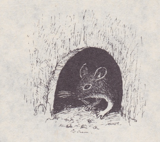 Illustration from “The Cats and the Mice”