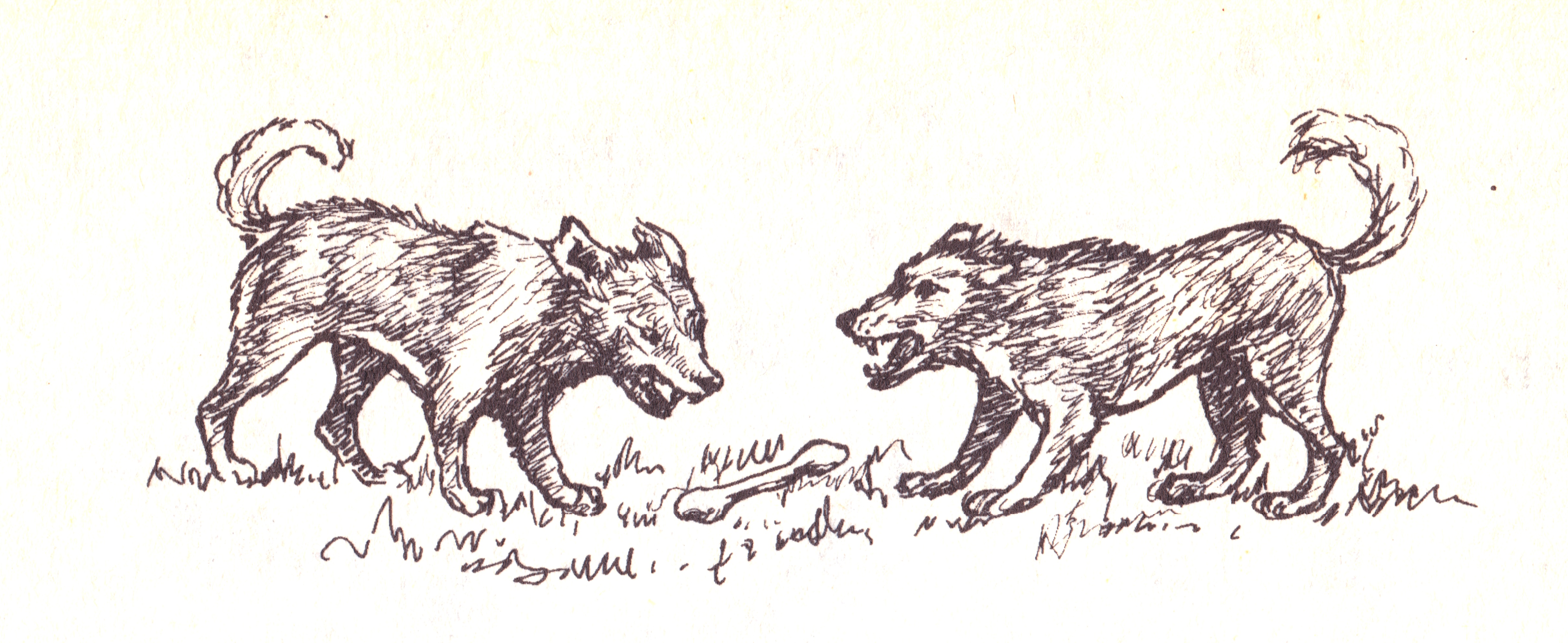 Illustration from “The Dog Fight”