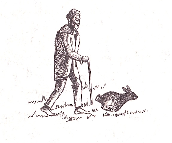 Illustration from “The Jackal and the Rabbit”
