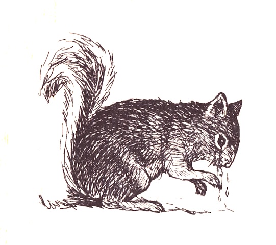 Illustration from “The Leopard and the Squirrel”