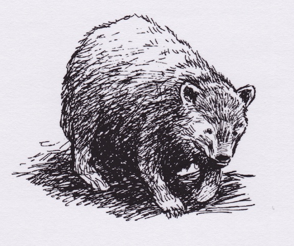 Illustration from “The Bear and the Woman”