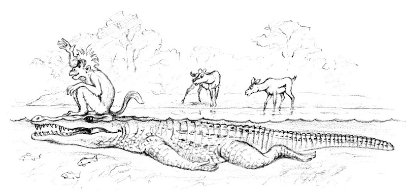 Illustration from “The Monkey's Heart”
