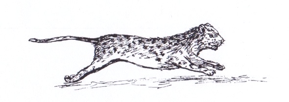 Illustration from “The Farmer and the Leopard”