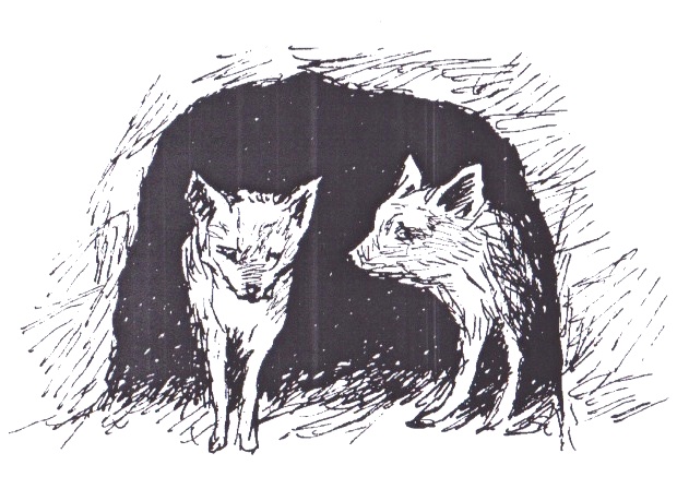 Illustration from “Weyna and Gella”